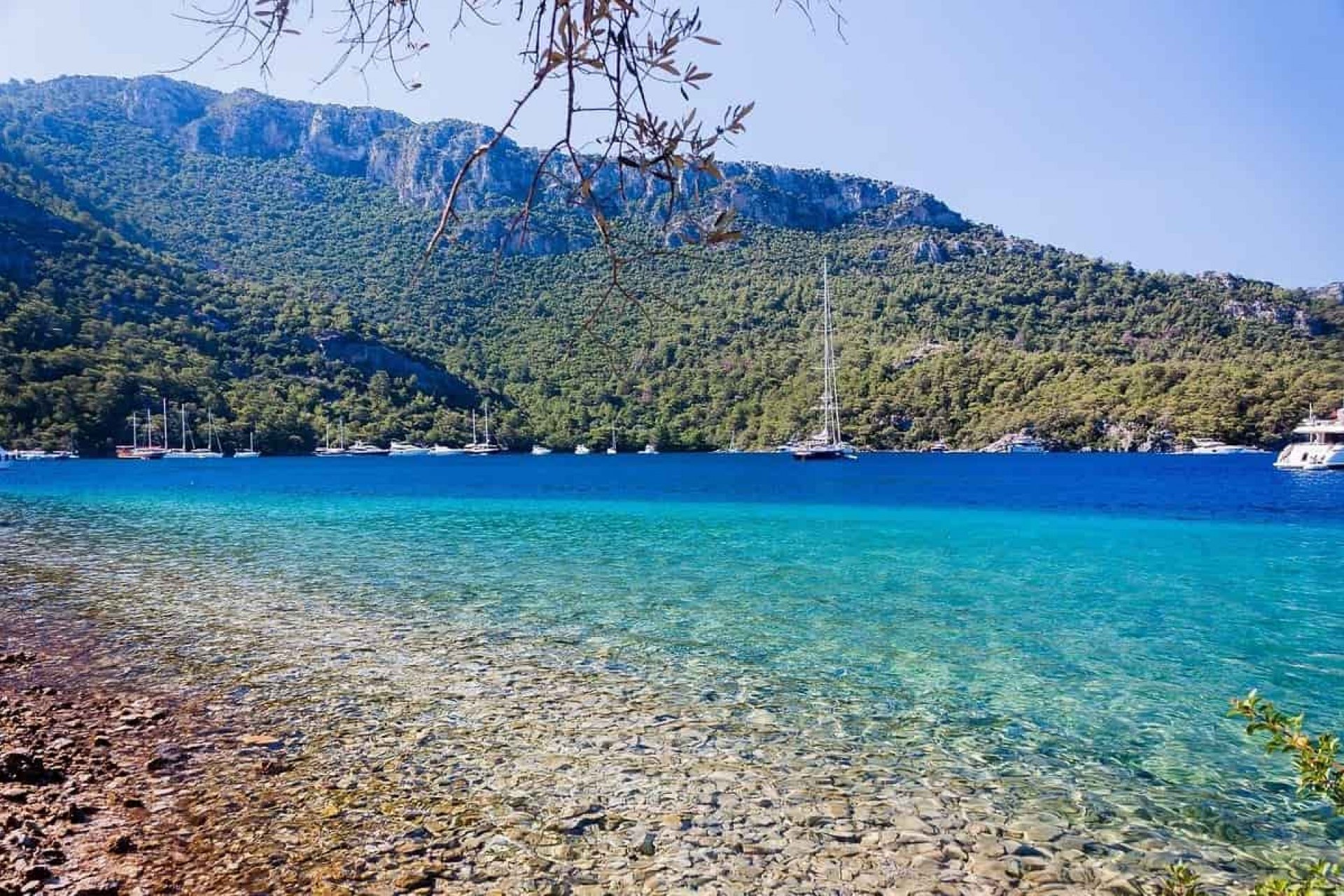 Kiralama Rehberi - Sarsala Koyu Nerede? Nasıl Gidilir?