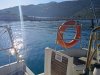 Ocean's 423 Yelkenli 