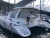 Leopard 43