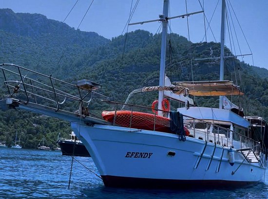 Efendy гулет - Gocek